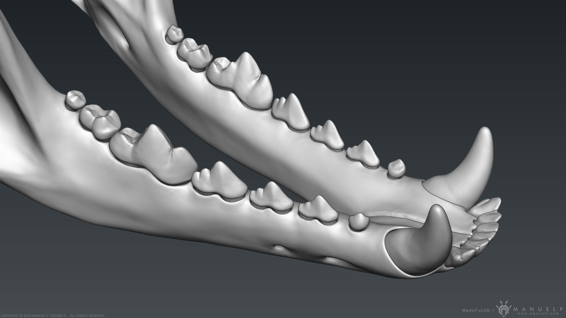 3D Wolf Skull - Highpoly sculpture 3D model_10