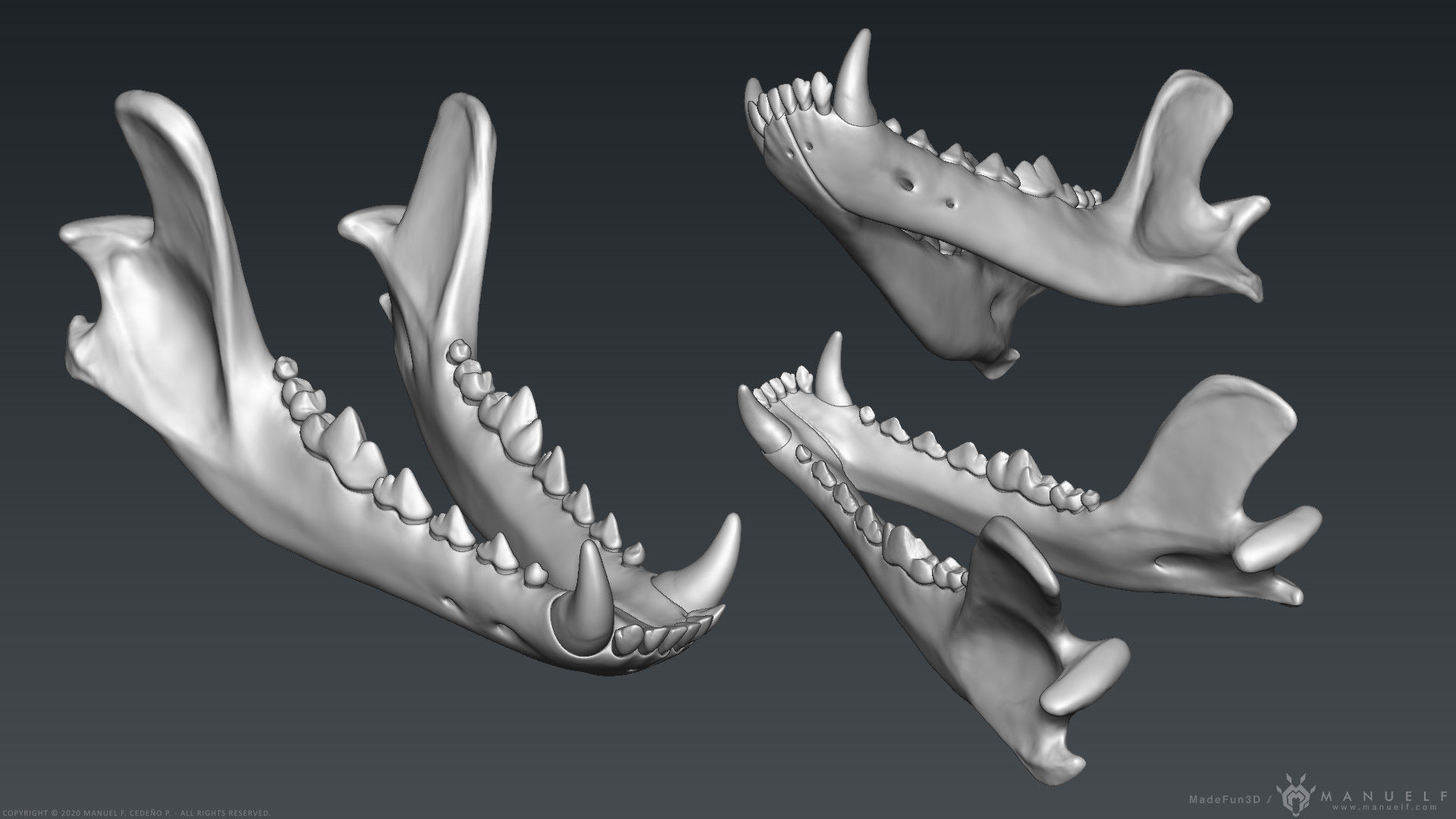 3D Wolf Skull - Highpoly sculpture 3D model_9