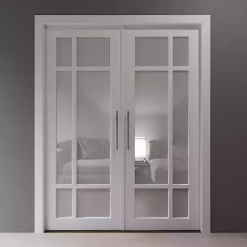 Double white interior glass door