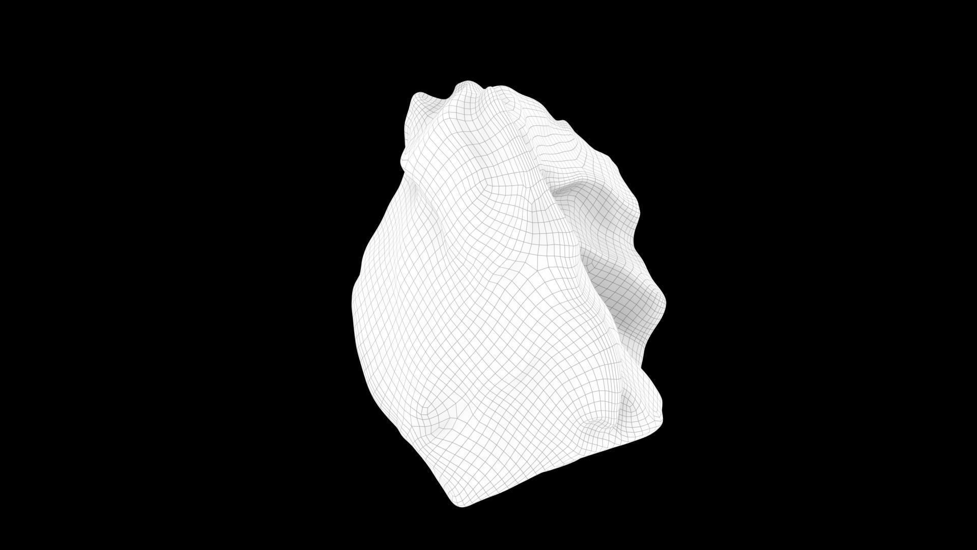 Rock photoscan 3D model_5