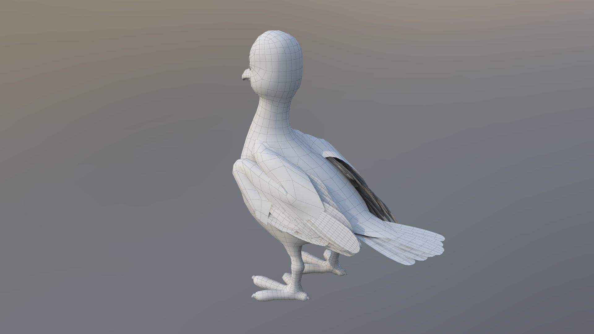 pigeon cartoon rigged character 3D model_6