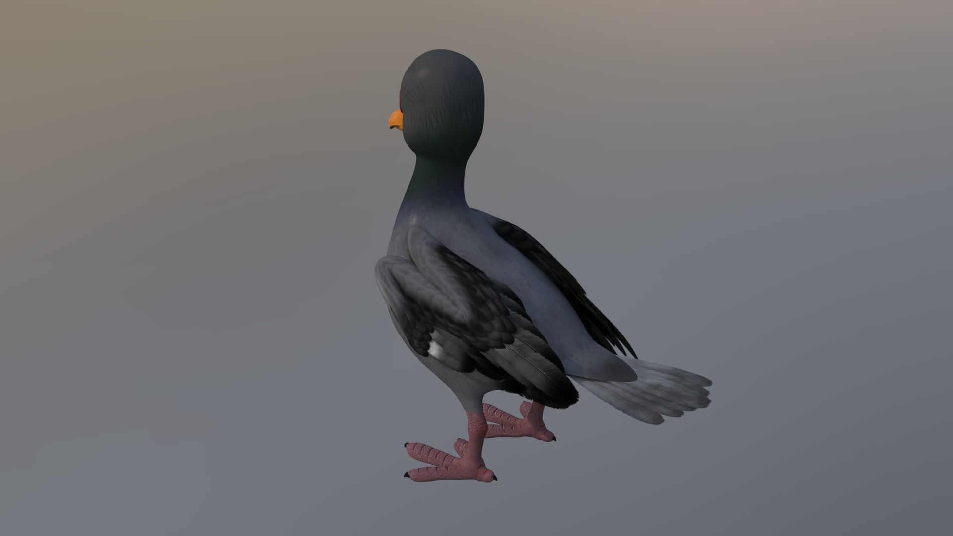 pigeon cartoon rigged character 3D model_3