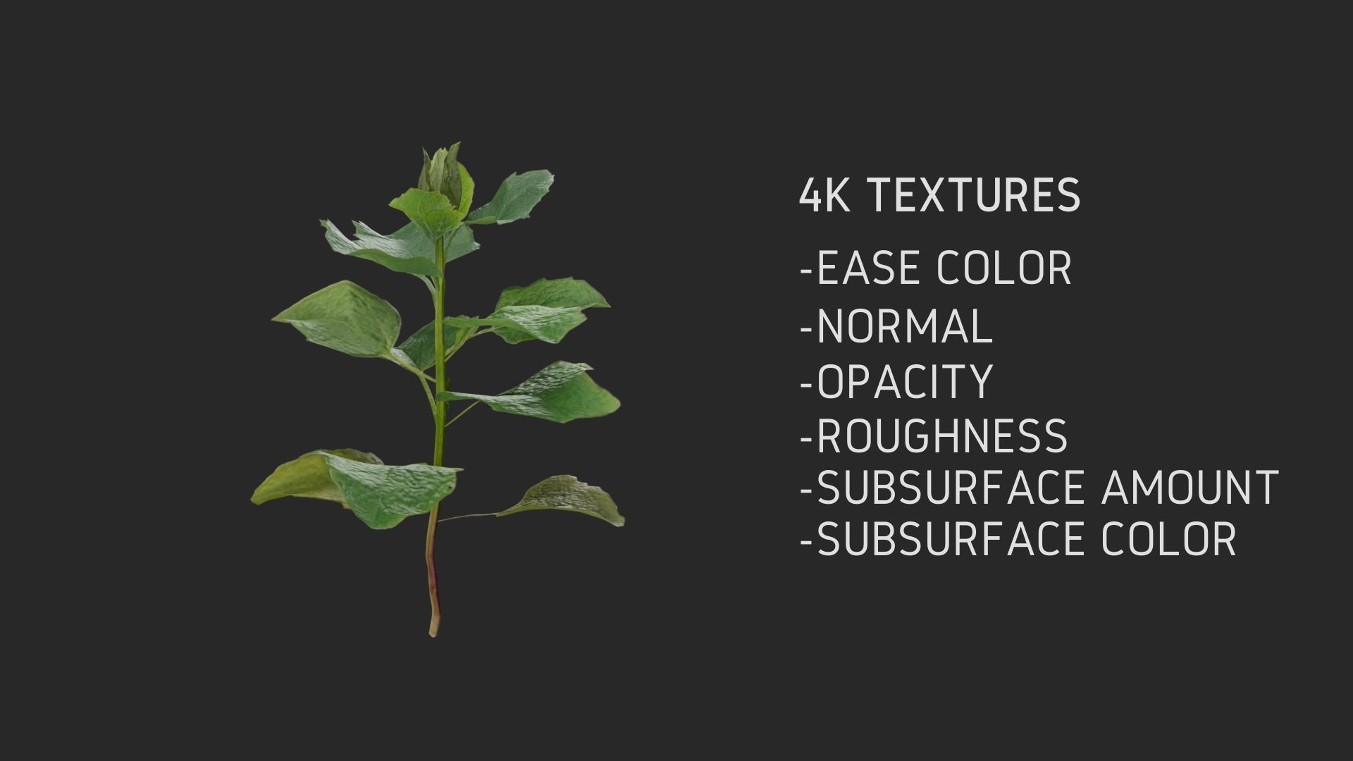 3D Grass collection vol03 Low-poly 3D model_6