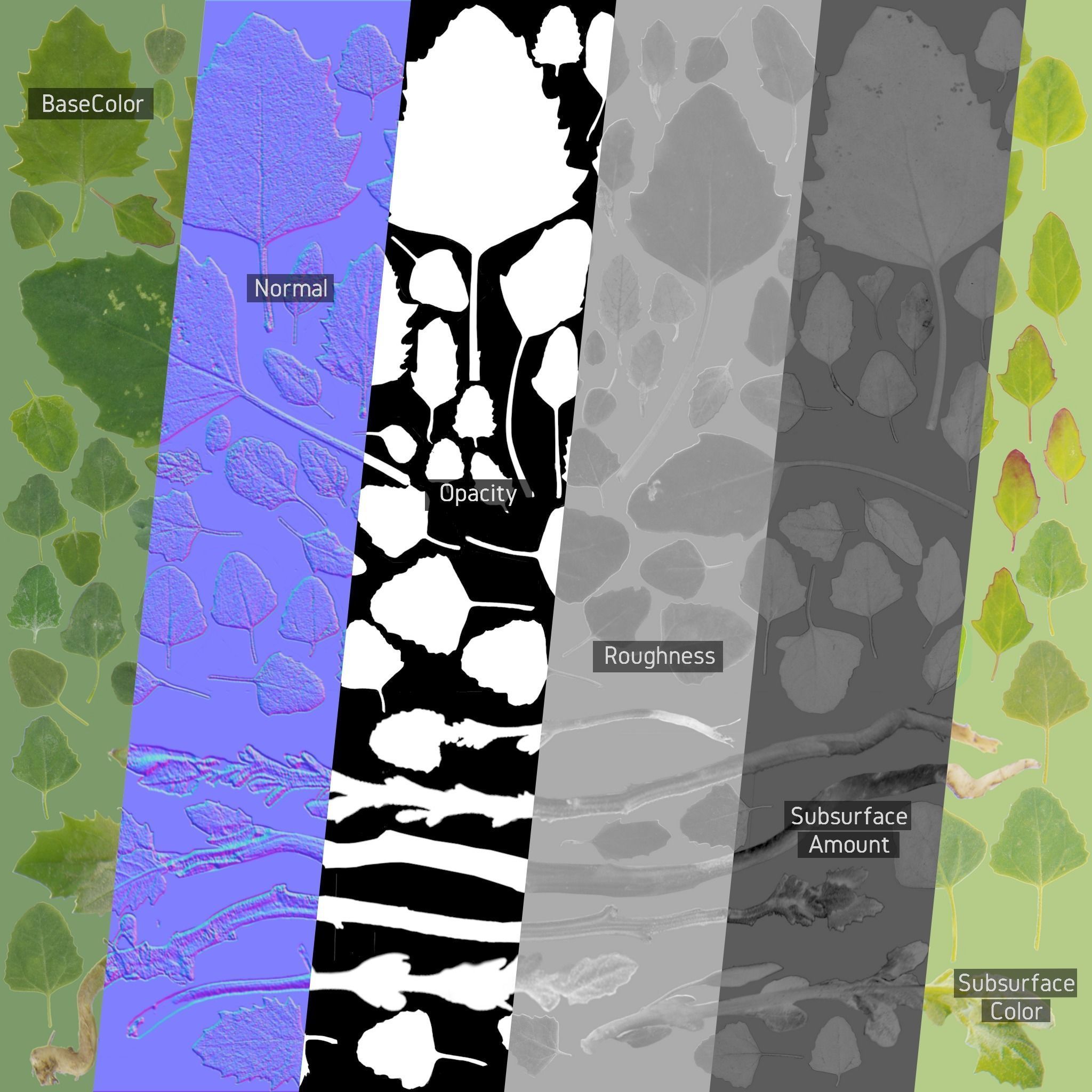 3D Grass collection vol03 Low-poly 3D model_7