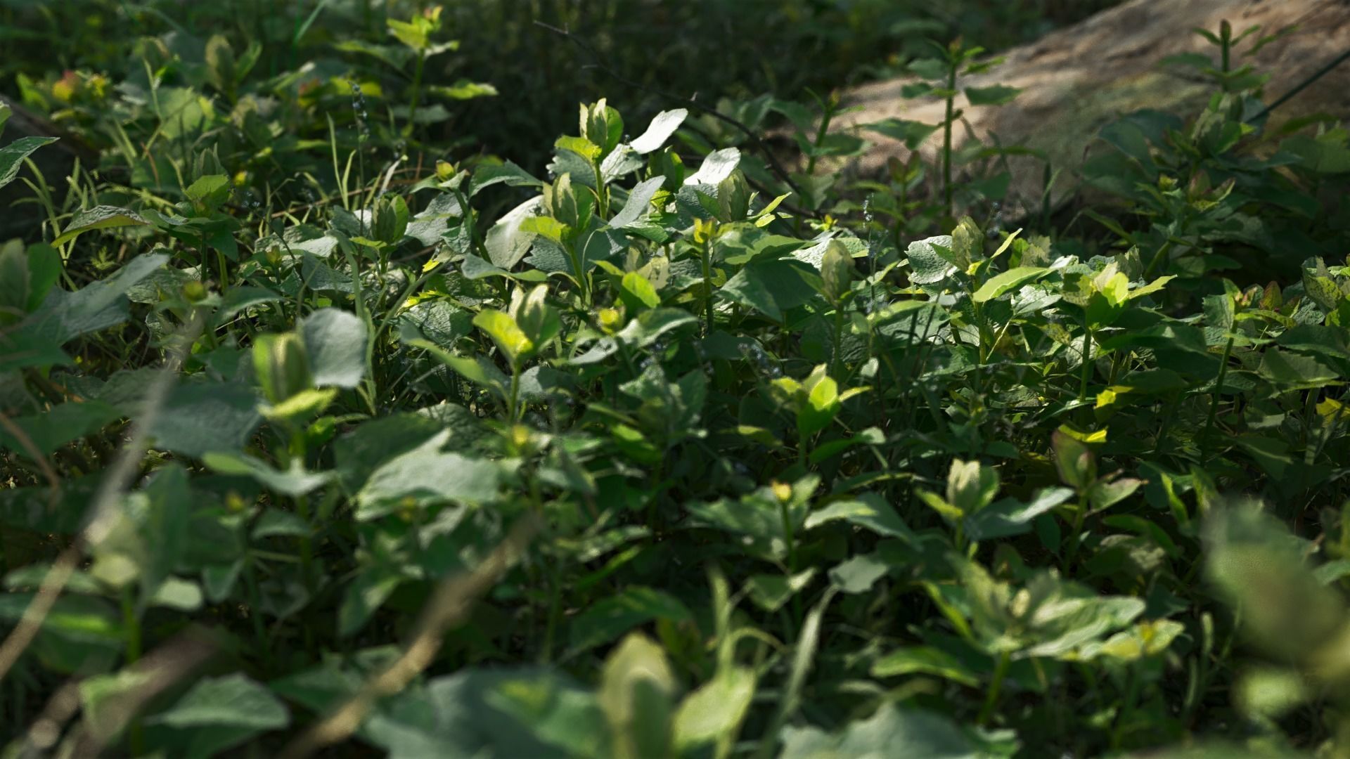 3D Grass collection vol03 Low-poly 3D model_3