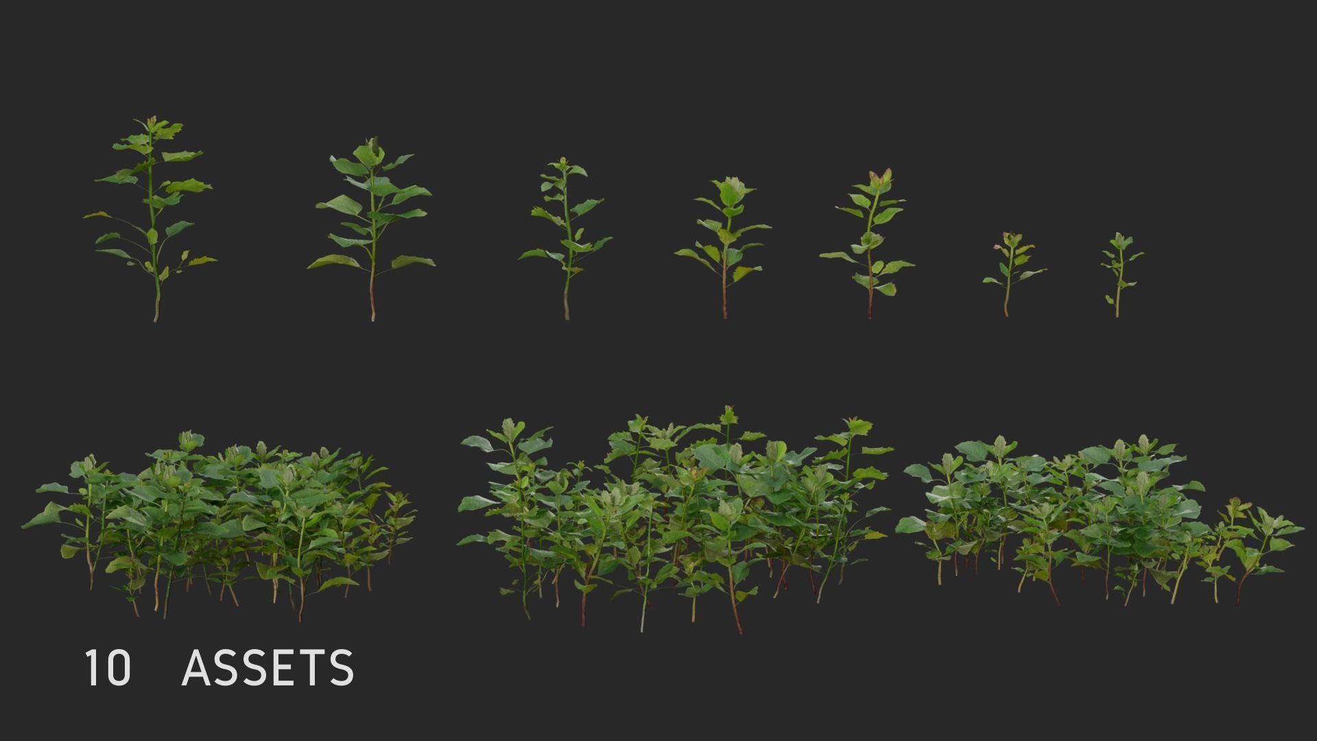 3D Grass collection vol03 Low-poly 3D model_4