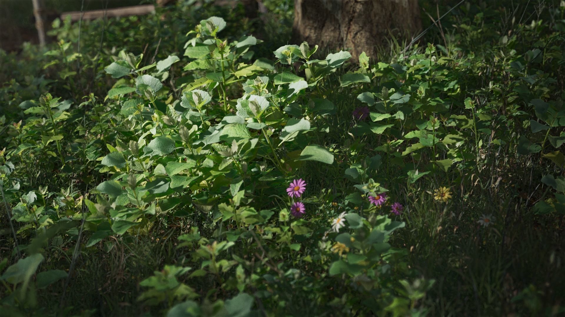 3D Grass collection vol03 Low-poly 3D model_2