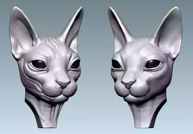 Cat Sphynx Head