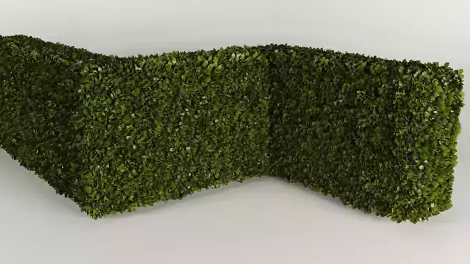 Set for Hedge of bushes 3D model Setos arbusto