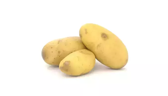 Potato Photoscan Low-poly 3D model