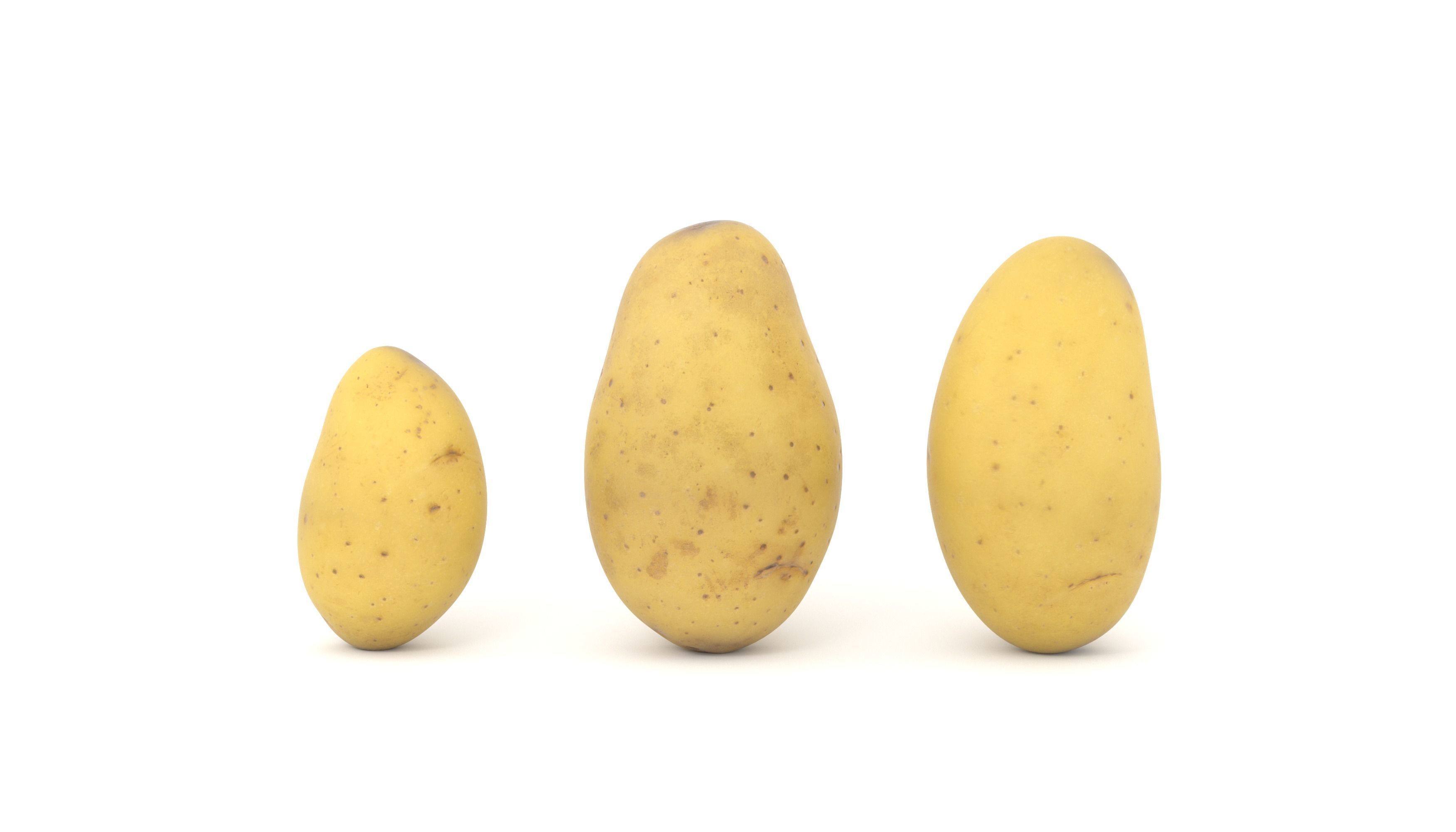 Potato Photoscan Low-poly 3D model_4