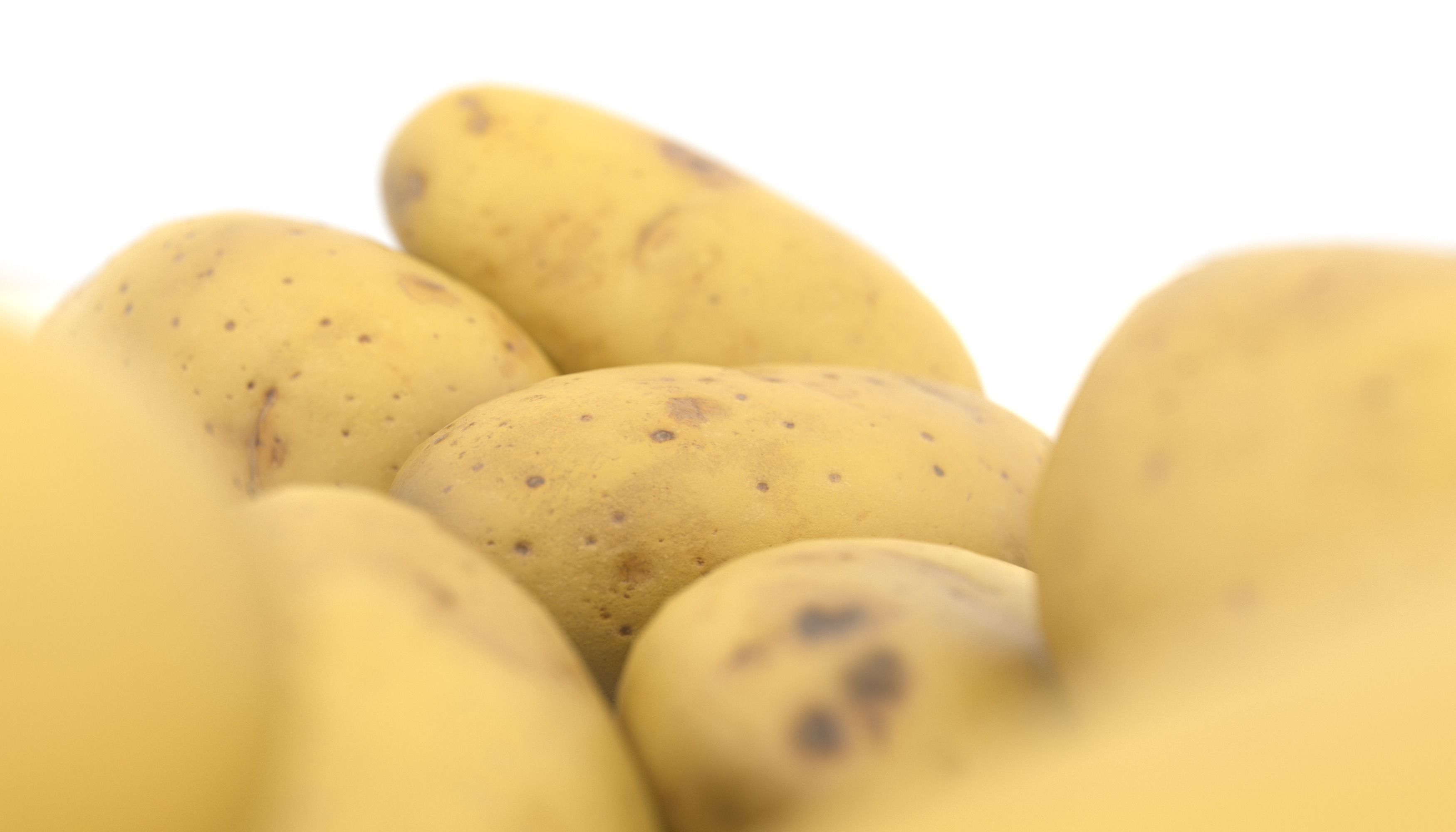 Potato Photoscan Low-poly 3D model_5