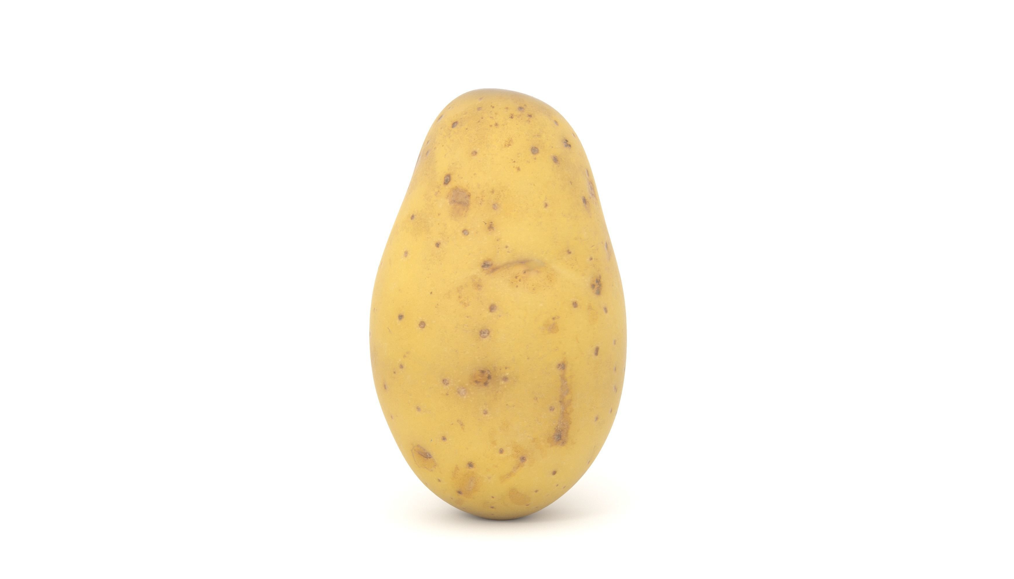 Potato Photoscan Low-poly 3D model_1