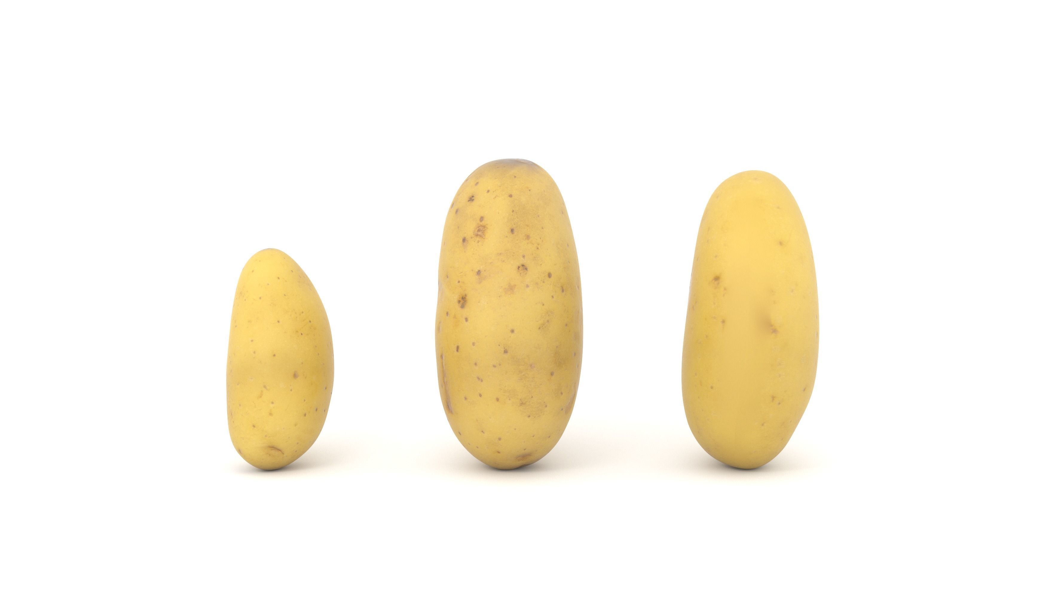 Potato Photoscan Low-poly 3D model_3