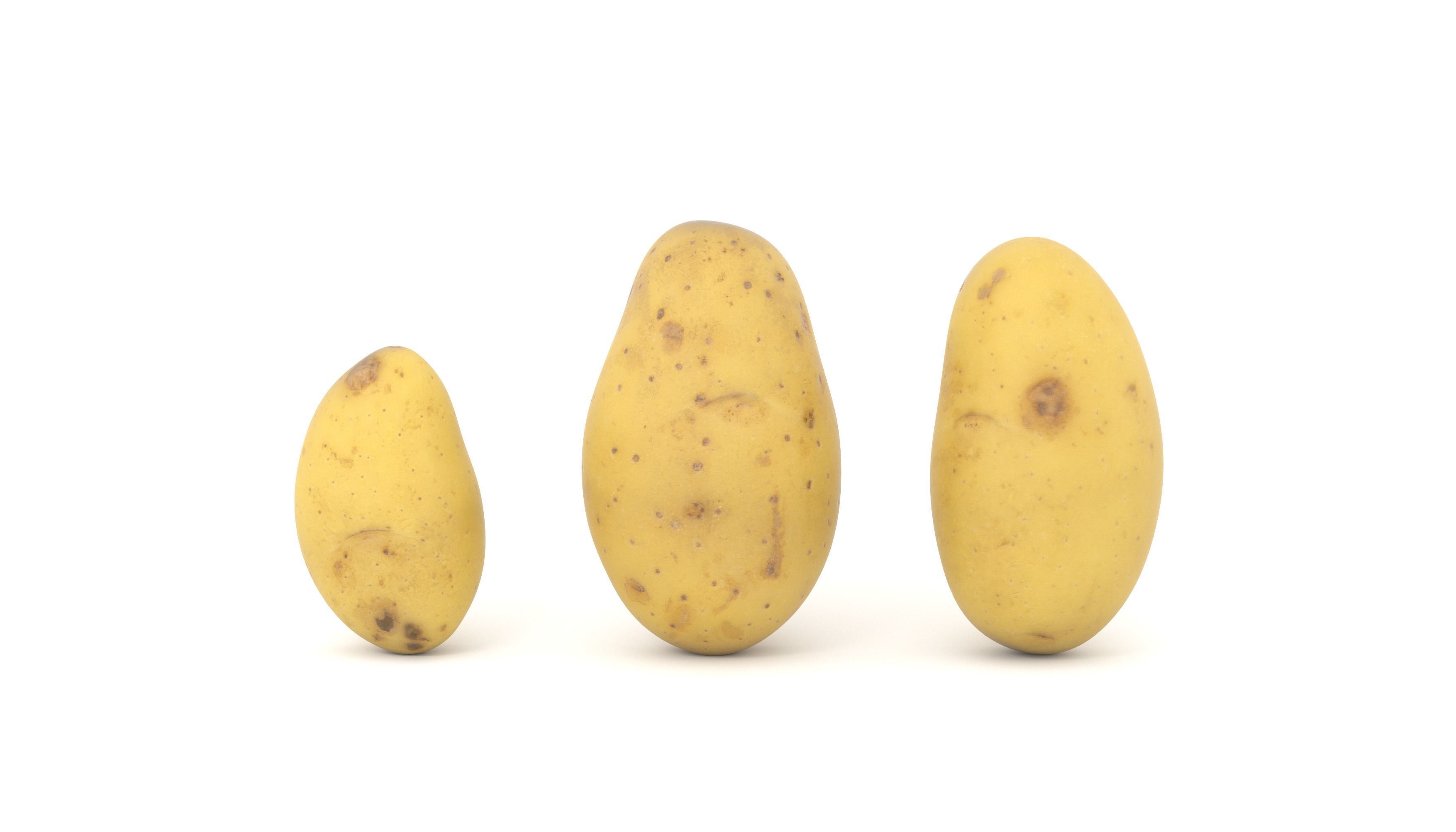 Potato Photoscan Low-poly 3D model_2
