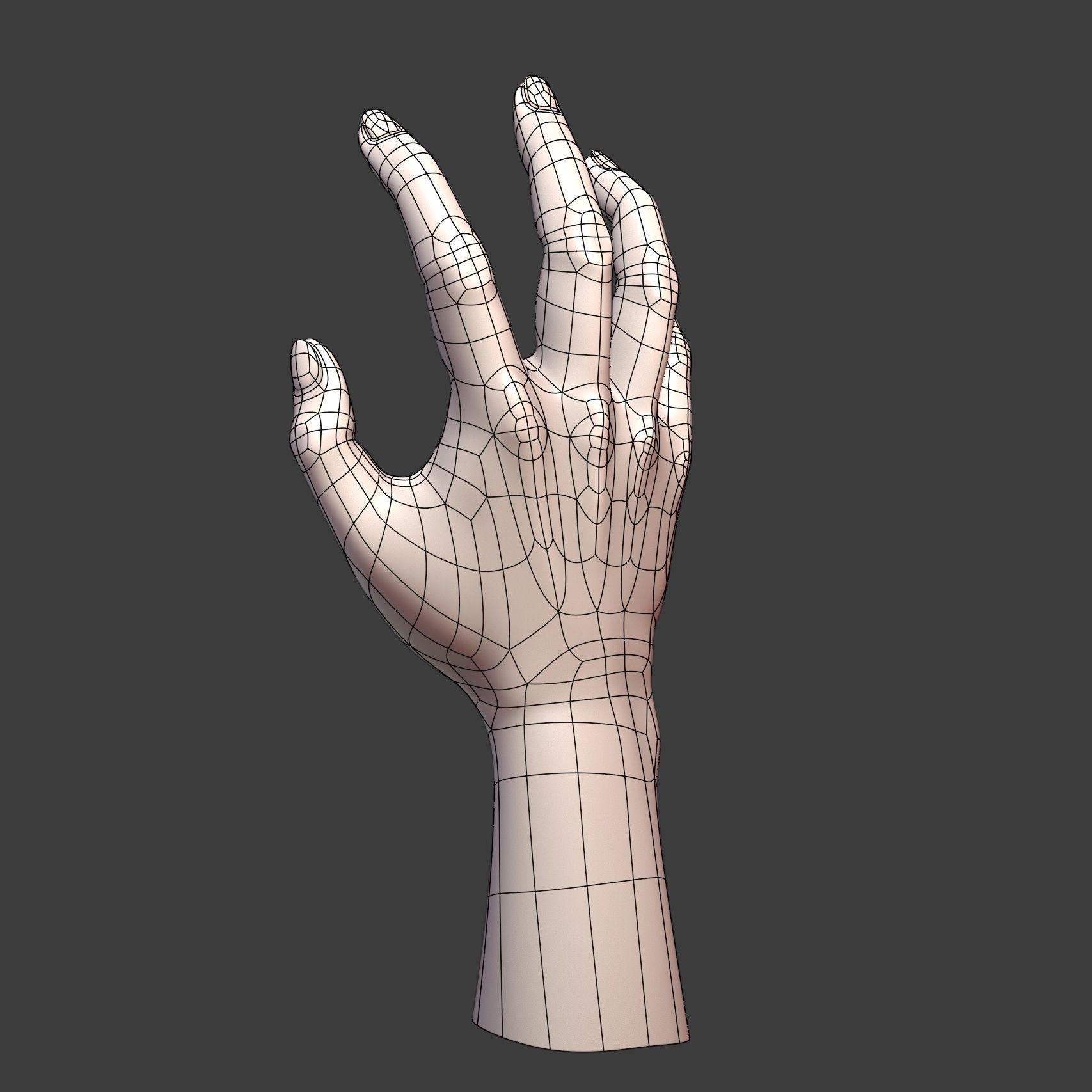 CAD-friendly Casual Woman Hand Model F1P2D1V1hand 3D model_11