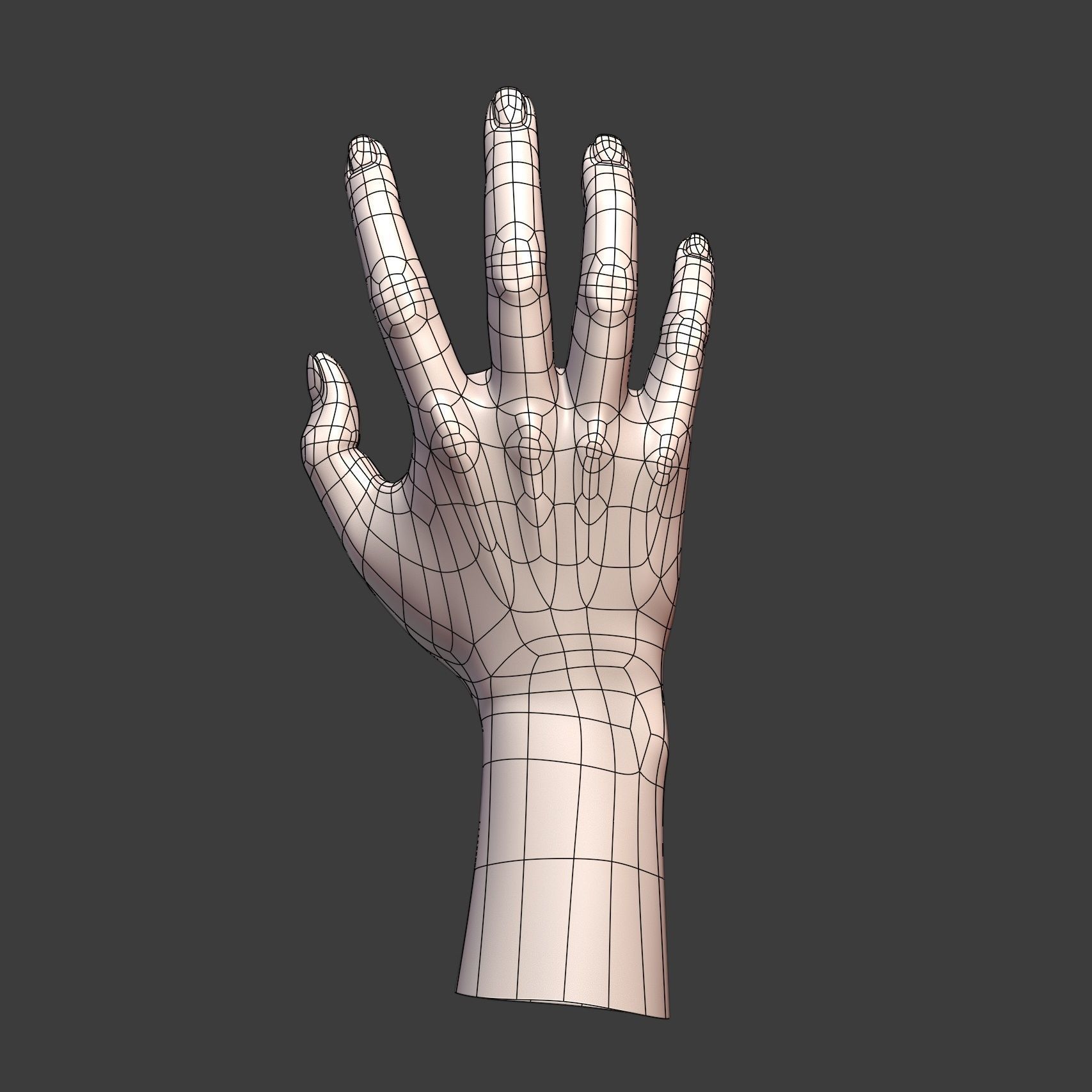 CAD-friendly Casual Woman Hand Model F1P2D1V1hand 3D model_7
