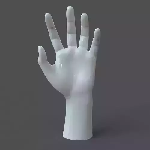 CAD-friendly Casual Woman Hand Model F1P2D1V1hand 3D model