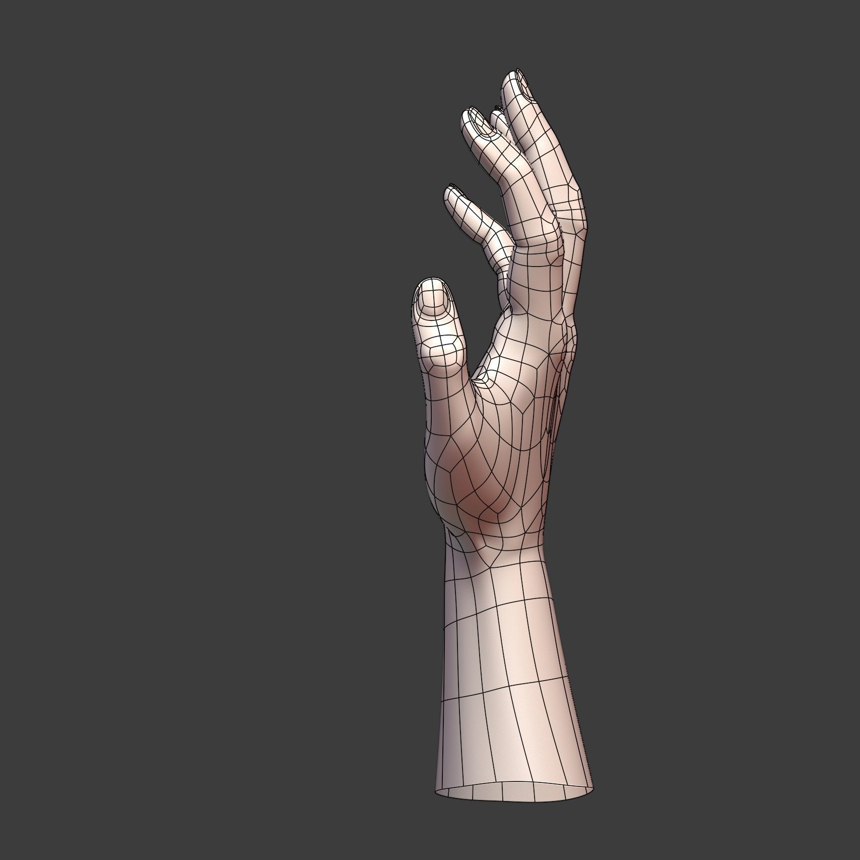 CAD-friendly Casual Woman Hand Model F1P2D1V1hand 3D model_6