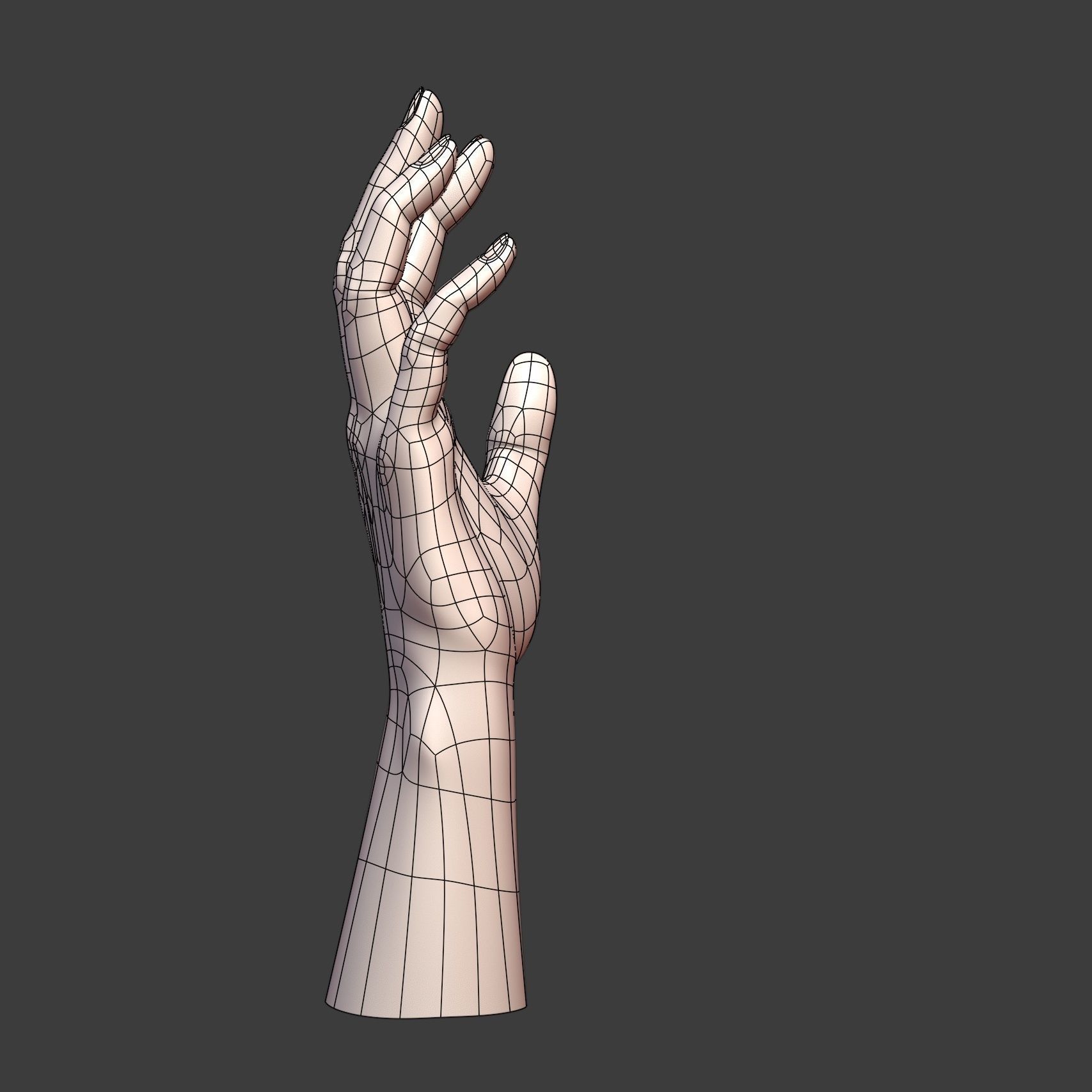 CAD-friendly Casual Woman Hand Model F1P2D1V1hand 3D model_8