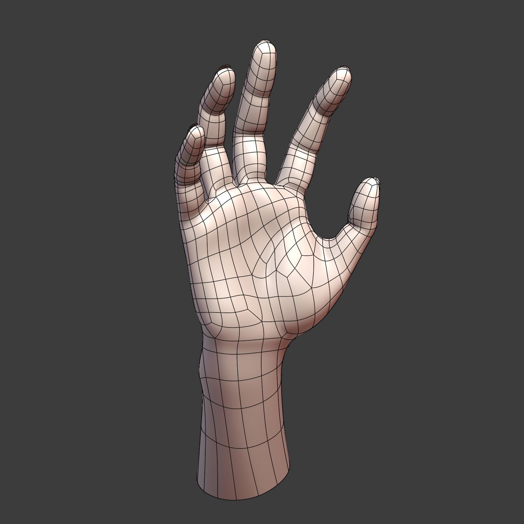 CAD-friendly Casual Woman Hand Model F1P2D1V1hand 3D model_10