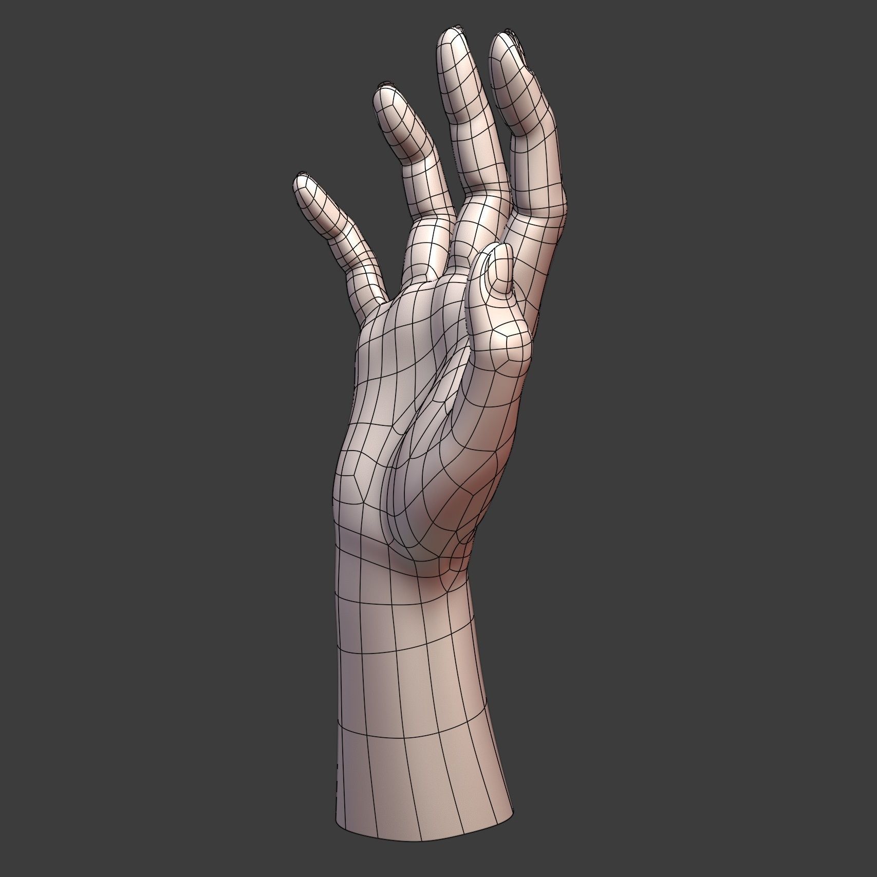 CAD-friendly Casual Woman Hand Model F1P2D1V1hand 3D model_12