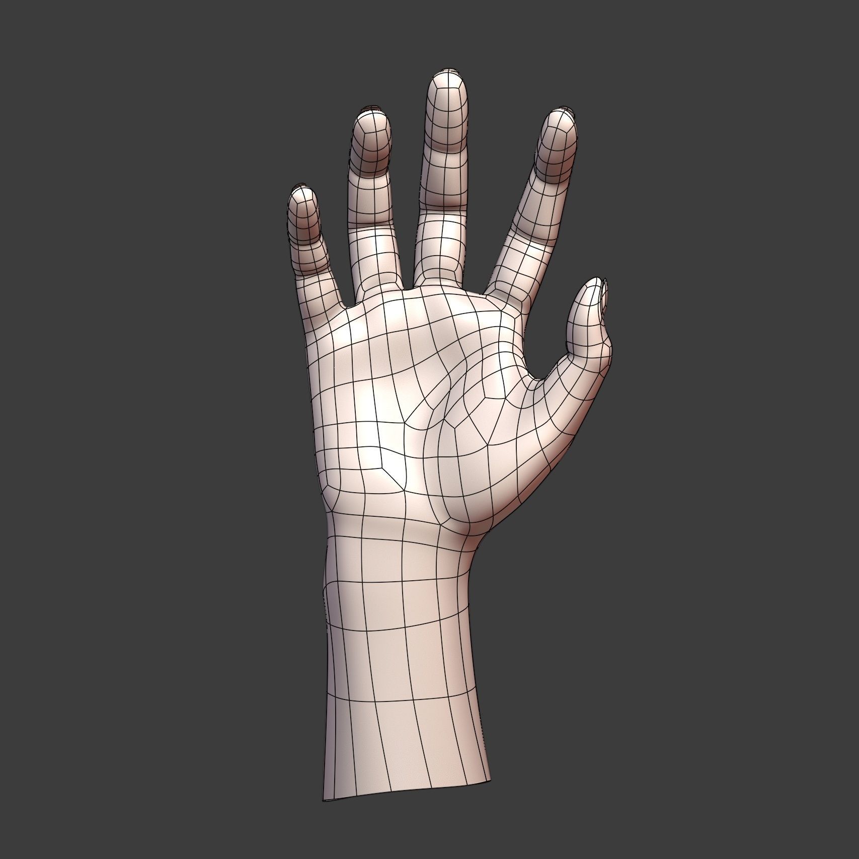 CAD-friendly Casual Woman Hand Model F1P2D1V1hand 3D model_5