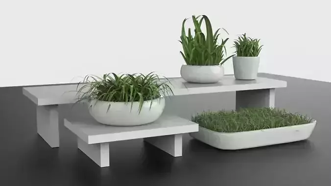 Minimal design Planter pots with greens
