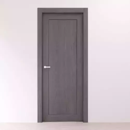 Modern interior gray oak solid door