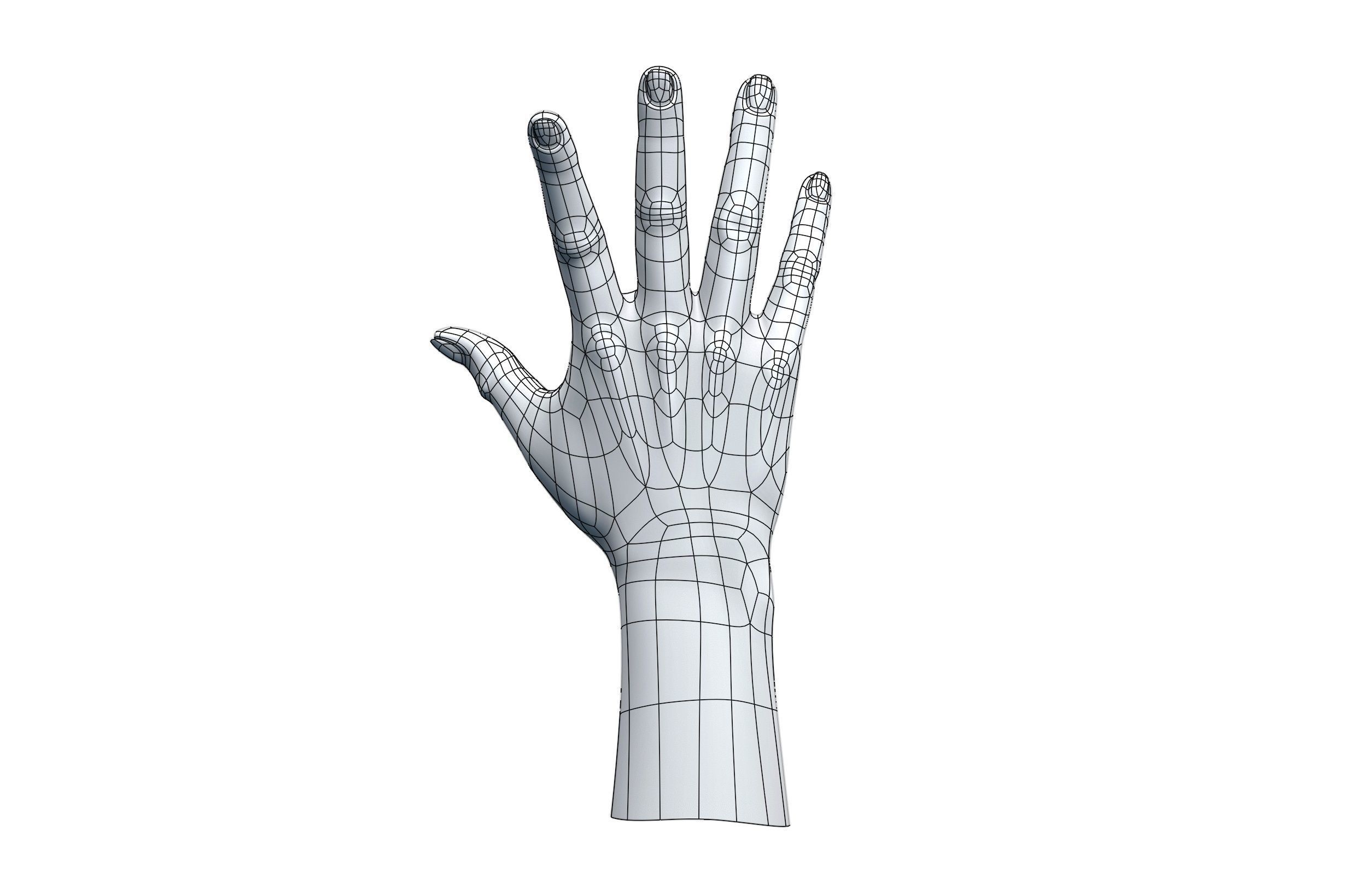 CAD compatible Casual Woman Hand Model F1P3D1V1hand 3D model_13
