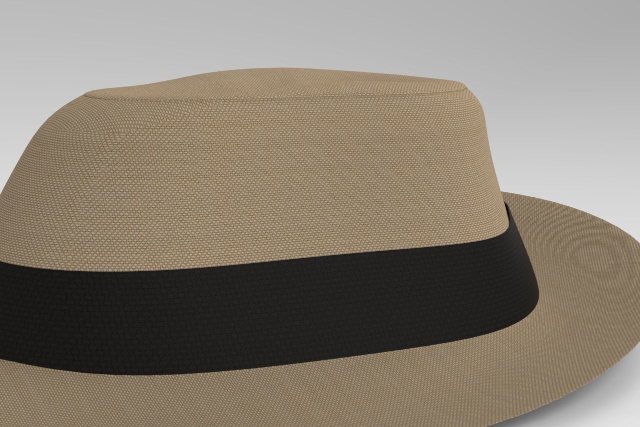 Hat Realistic 3D Model fedora 3D model_5