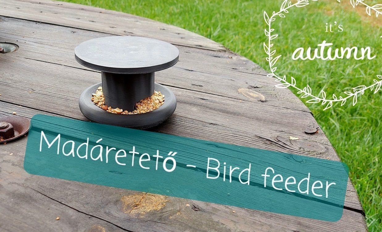 Bird feeder