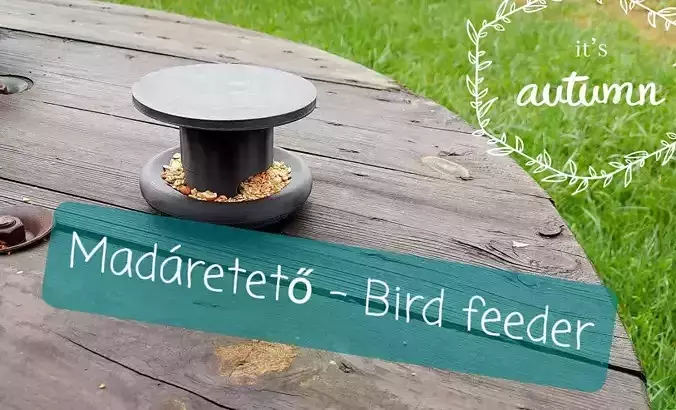 Bird feeder 3D print model
