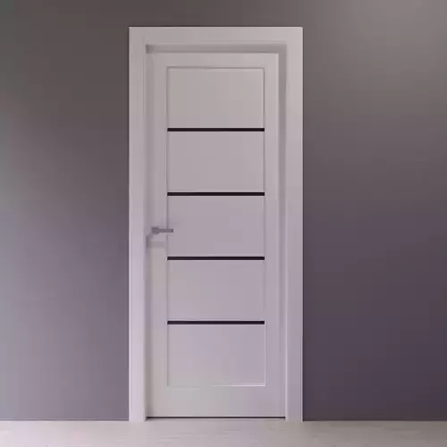 White interior door with black glass inserts 3D model