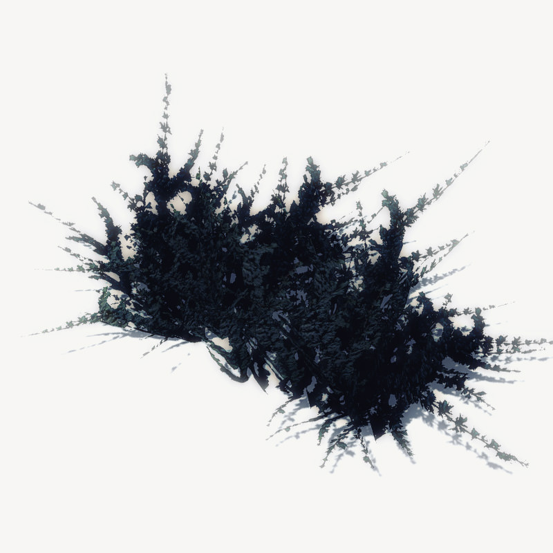 24 Afghan Vegetation Models For Games Low-poly 3D model_13