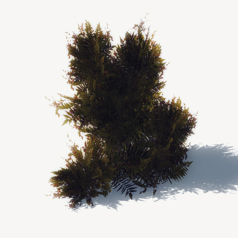 24 Afghan Vegetation Models For Games Low-poly 3D model_5