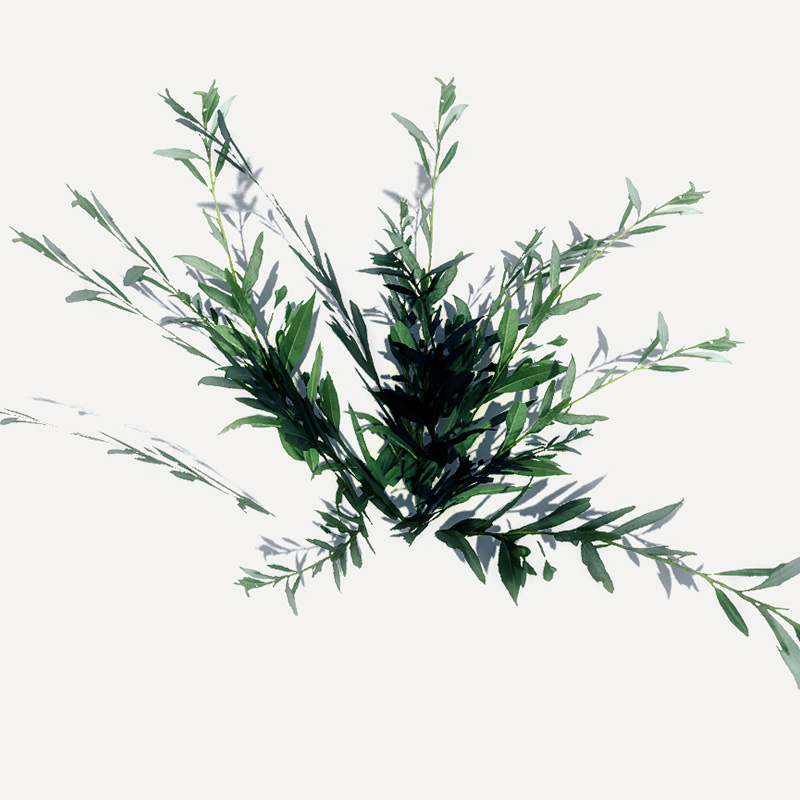 24 Afghan Vegetation Models For Games Low-poly 3D model_29