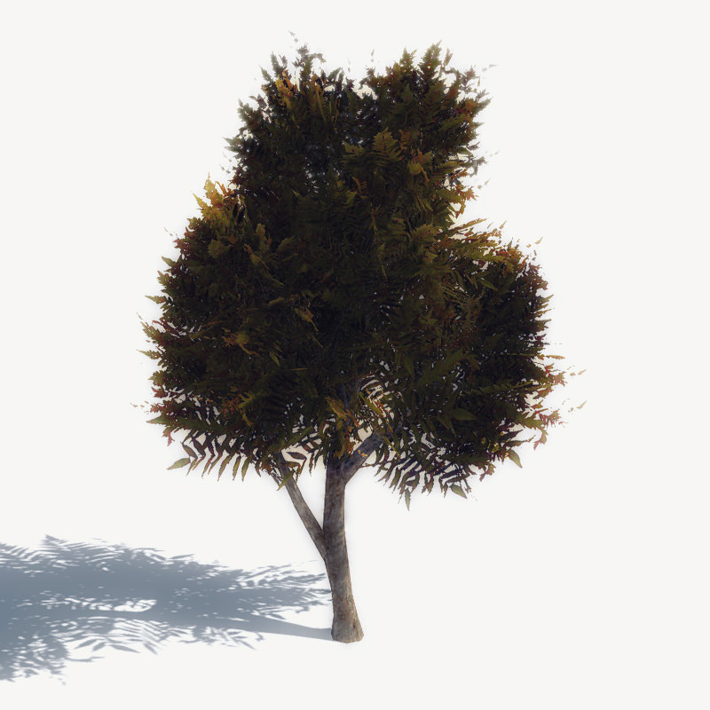 24 Afghan Vegetation Models For Games Low-poly 3D model_25