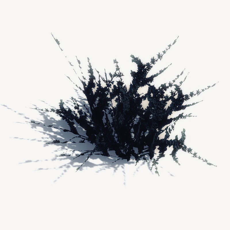 24 Afghan Vegetation Models For Games Low-poly 3D model_15