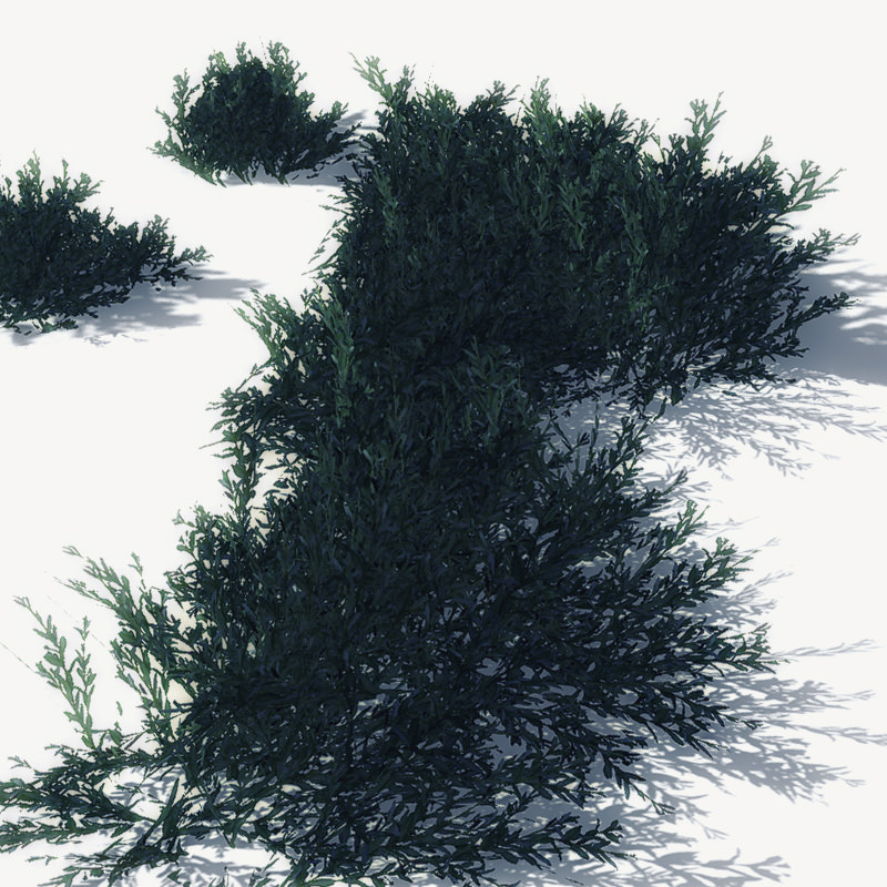 24 Afghan Vegetation Models For Games Low-poly 3D model_1