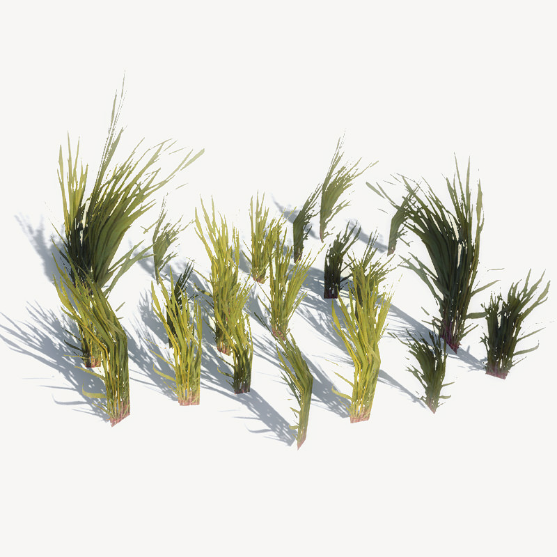 24 Afghan Vegetation Models For Games Low-poly 3D model_11
