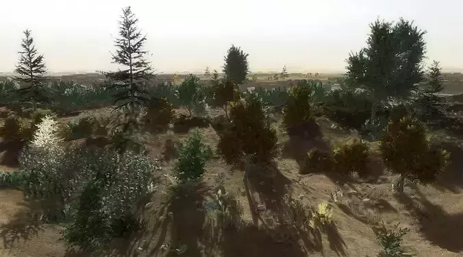 24 Afghan Vegetation Models For Games Low-poly 3D model