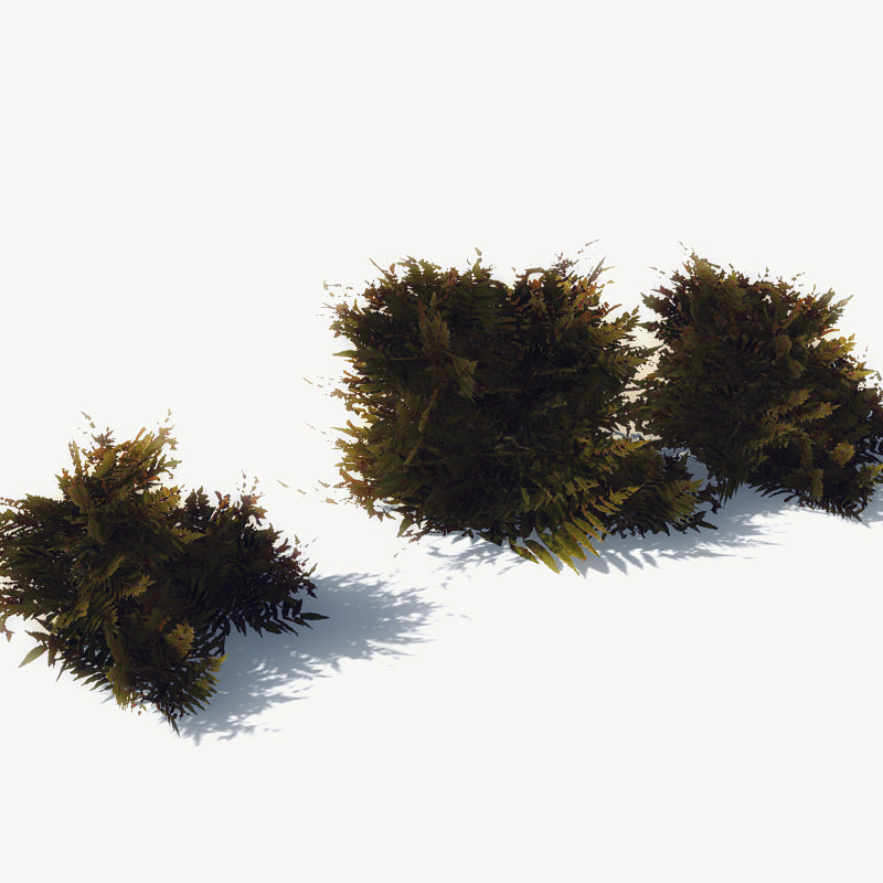 24 Afghan Vegetation Models For Games Low-poly 3D model_7