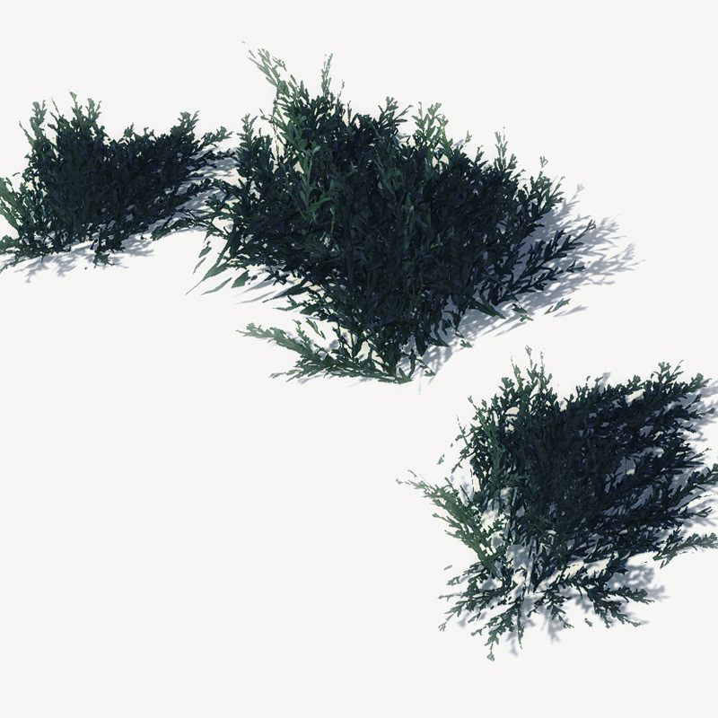 24 Afghan Vegetation Models For Games Low-poly 3D model_3