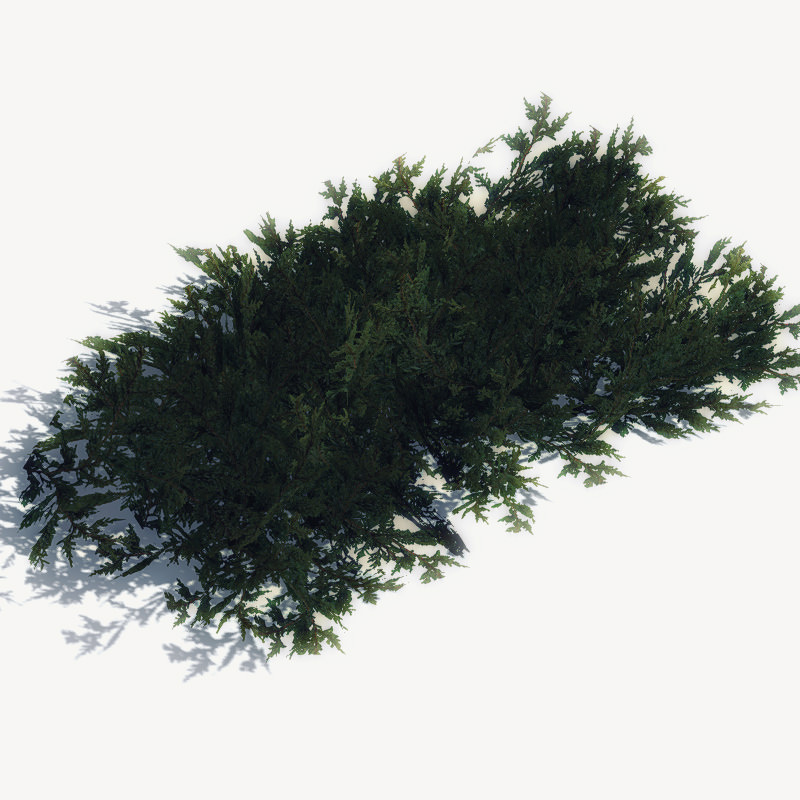 24 Afghan Vegetation Models For Games Low-poly 3D model_18