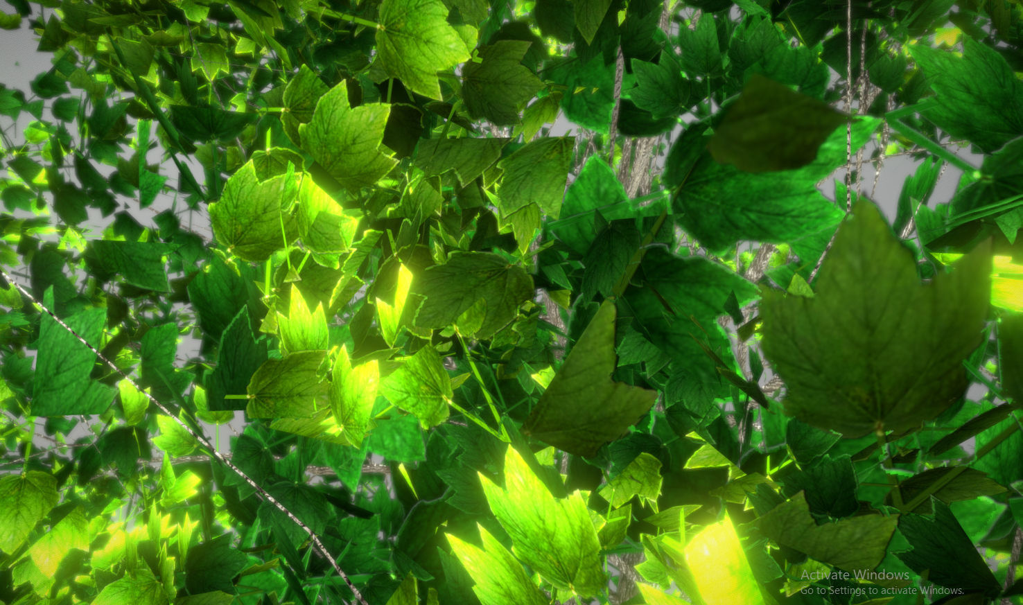 Tree Lowpoly birch Low-poly 3D model_2