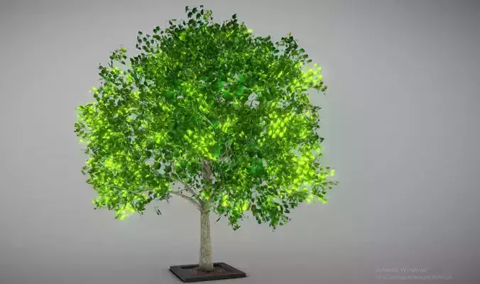Tree Lowpoly birch