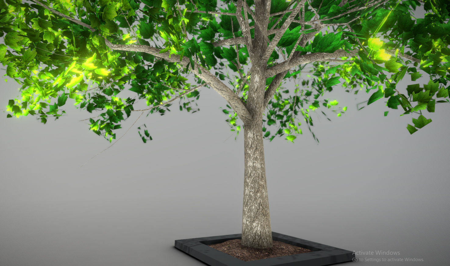 Tree Lowpoly birch Low-poly 3D model_4