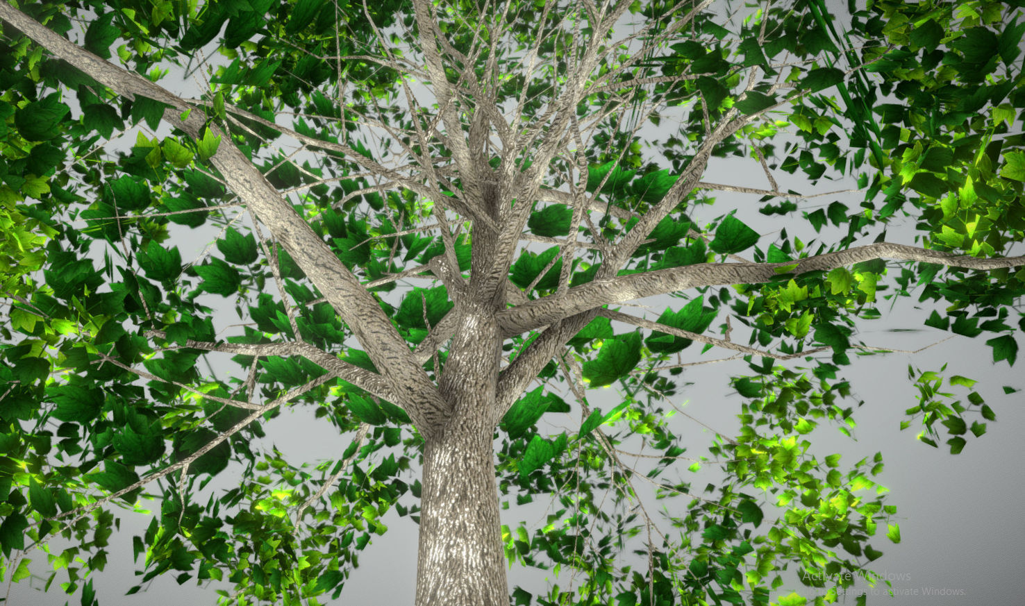 Tree Lowpoly birch Low-poly 3D model_3