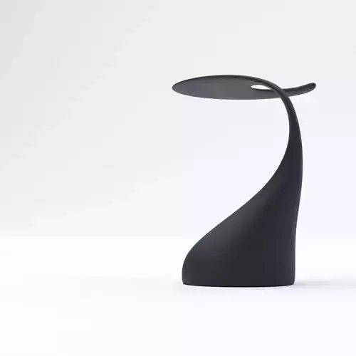 Organic shape Coffe table for living room